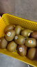佳沛（zespri）新西兰  阳光金奇异果10粒礼盒巨大果单果约144-175g 水果 猕猴桃 实拍图