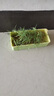 北蔬 小麦草种子种苗水培小麦苗猫草蔬菜种籽 小麦草芽苗菜种子500g 实拍图
