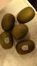 佳沛（zespri）新西兰  阳光金奇异果10粒礼盒巨大果单果约144-175g 水果 猕猴桃 实拍图