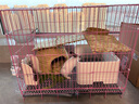 HELLOJOY 狗狗零食牛肉棒牛肉干条训狗奖励零食成犬幼犬 营养牛肉棒450g 实拍图