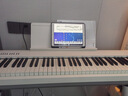 罗兰（Roland）电钢琴FP30X重锤便携式电子钢琴成人儿童初学者入门智能考级钢琴 FP30X白色+单踏板 实拍图