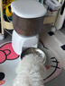 玲珑猫宠物智能可视自动喂食器 猫碗猫粮狗粮定时定量猫咪自动投食器 4L智能版【APP操控|定时定量】 实拍图