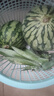 广东香水菠萝 徐闻菠萝 新鲜水果非凤梨现采现摘整箱包邮 【1个装】净重1.3斤-1.5斤 实拍图