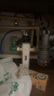 滨特尔（pentair）前置过滤器大通量家用全屋自来水管道40μm过滤器9吨/H大流量水驱涡轮+反冲洗刮洗净水器 【顶配】9T/H大流量S260全自动 实拍图