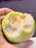 奶油白心红心芭乐 新鲜软糯低卡低热量轻食首先水果 1斤净重（白心）单果100g起 实拍图