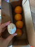 京喜加伦晚夏橙脐橙手剥橙 带箱1斤小果60-65mm 实拍图