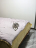 星帮尼宠物次氯酸消毒液猫咪狗狗除臭剂家用室内杀菌水猫藓环境除菌喷雾 实拍图