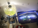 佳普变频增压泵家用全自动静音增压器自来水管热水器花洒增压自吸水泵 240W【强劲款】20倍智能变频增压 实拍图