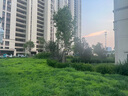 九阳（Joyoung）净水器水龙头家用台式前置厨房自来水过滤器超滤龙头机JYW-TC06 二芯装【超滤款】 实拍图