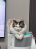 霍尼韦尔（Honeywell）【papi酱同款】宠物猫用空气净化器吸猫毛除甲醛过敏源杀菌消毒霍哈宝H-Cat Hub家电国家补贴 实拍图
