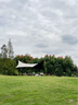 沃特曼黑胶天幕帐篷户外露营网红野营遮阳棚野餐桌椅防晒六角蝶形77744 实拍图