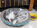 疯狂的主人猫抓板窝碗形大号猫抓盆不掉屑猫窝宠物猫玩具瓦楞纸猫爪板 实拍图