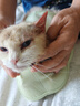 普安特宠物猫咪耳螨狗狗滴耳液耳炎真菌滴耳药耳臭瘙痒化脓红肿尔滴克 实拍图