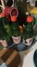 Perrier氼颂家巴黎水 进口气泡水【水哥推荐】西柚味矿泉水500ml*6瓶  实拍图
