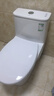 九牧（JOMOO）11316-2-1/31K-1小户型马桶易洁家用节水虹吸抽水坐便器305坑距 实拍图