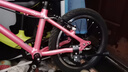 Nabiis那贝斯儿童自行车3-6-7-8岁男女孩青少年山地超轻单车16寸高配粉 实拍图