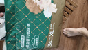 京东京造 婴儿拉拉裤 全包臀裤型尿裤尿不湿 Cloud系列XL码34片(12-17kg) 实拍图