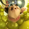 MOFEI犬猫通用皮肤病套装 宠物猫狗癣复方酮康唑恩诺沙星复合维生素B 实拍图