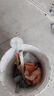 led吸顶灯灯芯改造灯板灯泡灯条灯管灯贴圆形节能灯珠灯源模组 圆形【磁铁吸附免打孔】 高亮护眼：36W白光 实拍图