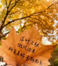 李宁羽毛球拍雷霆小钢炮穿线单拍进攻型新手入门拍4U穿线AYPT307 实拍图