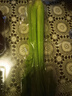  大芹菜约400g 实拍图