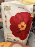 宜婴新梦想家全包臀小内裤L38片拉拉裤超薄透气【品牌直供 安心品质】 实拍图