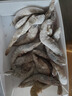 【顺丰快递】虾 青岛大虾白虾鲜活新鲜特大海鲜水产虾子虾米冷冻 18-19厘米  2.8- 3斤(净重)  带箱4斤【高品质】 实拍图