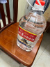 【口粮酒首选】北京二锅头清香型高度桶装泡药酒白酒 56度 5L 1桶 实拍图
