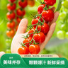 京鲜生＆一柿缘 串收樱桃小番茄 净重2斤礼盒 水果西红柿 源头直发 实拍图
