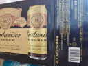 百威黑金啤酒500ml*12听整箱装烈性拉格焦香醇厚 端午节送礼 晒单实拍图