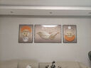 Sixpoetry 客厅装饰画现代简约沙发背景墙壁画轻奢三联晶瓷画大气高档挂画 福禄生花（铝合金外框） 晶瓷画左右60*80+中间120*80亮面 实拍图