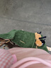 CinvaiKrose官网包包女包2025新款轻奢托特包女大容量手提包单肩包生日礼物 绿色-CK女包生日礼物送女友 实拍图