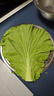良知农哥【顺丰】东北新鲜白菜叶饭包大白菜叶子打包 新鲜蔬菜 20片菜叶+酱 空运 实拍图