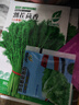 蔬菜种子四季播盆栽阳台庭院香菜生菜菠菜萝卜葱简单易种籽孑大全 四季玻璃生菜约290粒 实拍图