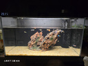 当贝智能生态鱼缸1Ultra 一体缸自循环桌面鱼缸 财运石造景套餐 实拍图