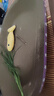 【京东物流】猫抓板磨爪猫窝一体耐磨不掉屑超大号猫玩具猫咪用品 椭圆巨无霸+猫薄荷 实拍图