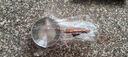 不锈钢泼油小锅热油专用锅奶锅热奶锅家用牛奶迷你小锅淋油神器 7cm 300ml 实拍图