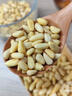 三只松鼠松子仁100g/罐 东北松子每日坚果果仁炒货休闲零食原味去壳非油炸 实拍图