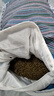 喜偌家纺儿童荞麦枕头老粗布透气枕荞麦壳填充幼儿园枕头小枕头儿童枕头 蓝色决明子 24*45厘米 实拍图