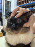 麦富迪猫粮 超肉粒冻干双拼成猫粮美毛护肠胃 三文鱼2kg 实拍图