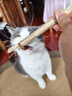 憨憨乐园木天蓼猫咪磨牙棒猫玩具自嗨解闷逗猫棒耐咬幼猫用品玩具养猫神器 实拍图