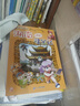 大中华寻宝系列16·湖南寻宝记新版儿童中国地理科普知识百科漫画书，儿童科普，人文地理，漫画读物 暑假作业 一升二暑假衔接 小升初暑假衔接 实拍图