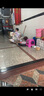 幼贝臣摇摇马木马多功能儿童玩具1-3岁宝宝婴儿生日元旦节新年礼物 实拍图