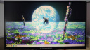 泰坦军团24.5英寸 2K 240Hz QD量子点-MiniLED DC调光 HDR1000 升降旋转 FastIPS 1msGTG电竞显示器 P245MS 实拍图