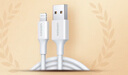 绿联【MFi认证不弹窗】适用苹果充电线快充数据线USB to Lightning闪电接口 iPhone14/13/12手机平板1m 实拍图
