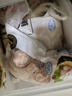 上鲜 单冻鸡胗 2斤 冷冻 出口级 鸡肫卤鸡胗烤鸡胗卤煮食材清真食品 实拍图