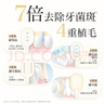狮王细齿洁70孔奢密极净宽薄牙刷全新上市高效洁净成人护龈3支 实拍图