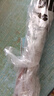 利皇西瓜刀水果刀切西瓜专用刀不锈钢瓜果刀家用挖西瓜神器 【带刀套】西瓜刀 实拍图