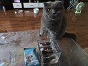 【限量试用】斯家小厨全价全期猫粮营养增肥发腮美毛猫粮 益生菌卵磷脂 120g（40gx3） 2个月以上 实拍图