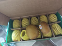 佳沛（zespri）新西兰   阳光金奇异果 8个装 超大果单果重约173-204g 猕猴桃 实拍图